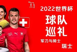 瑞士队凭借守备坚固,锋线进攻毫不留情的球队